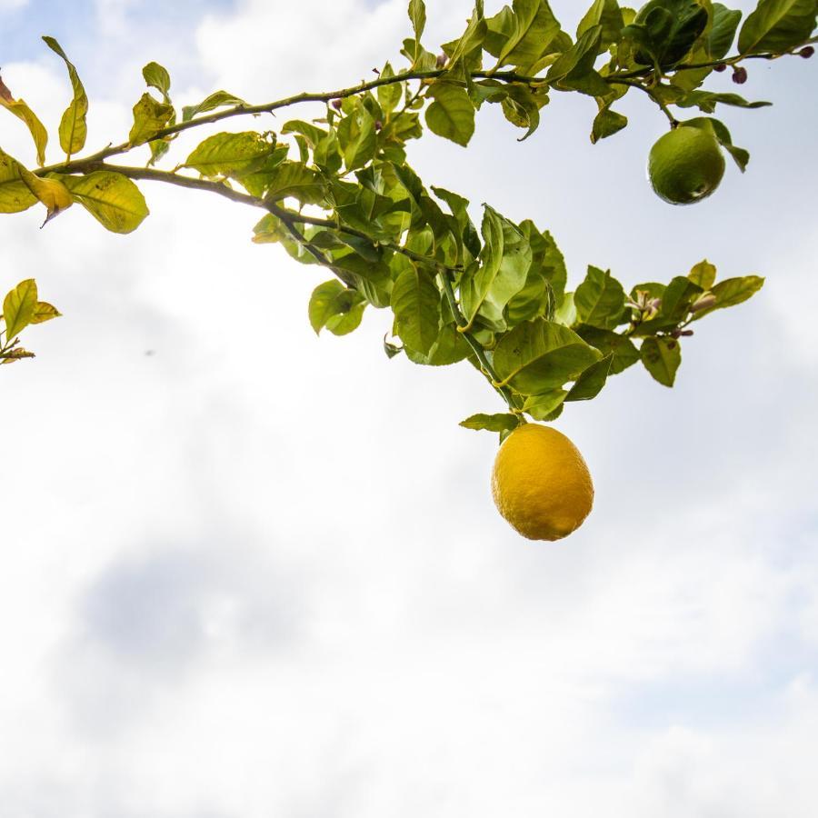 Casa Laranja, Aromas Burgau 아파트 외부 사진